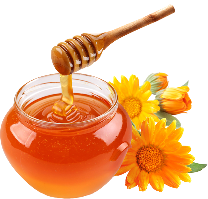 honey-banner1