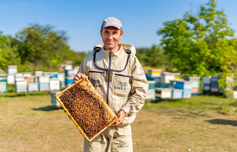 Buzz-to-Bloom-Where-It-All-Begins-Image-7